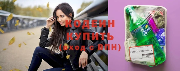 индика Сосновый Бор