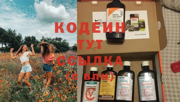 индика Михайловск