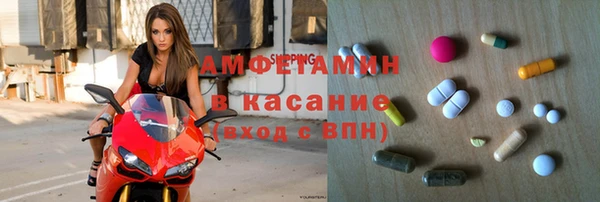 индика Алапаевск