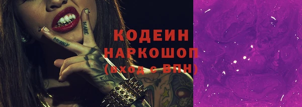 индика Михайловск