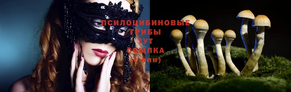 индика Алапаевск