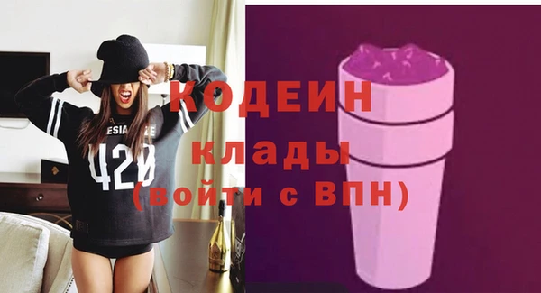 индика Михайловск