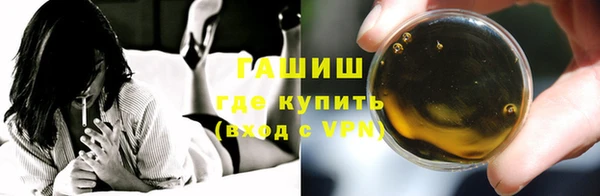 индика Михайловск