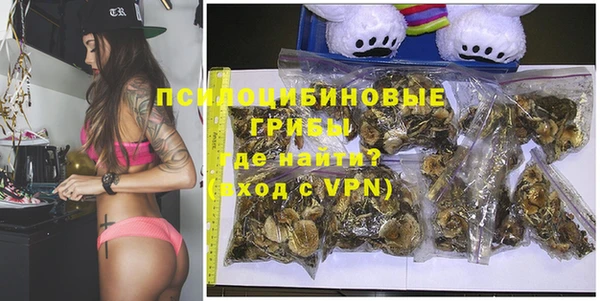 индика Михайловск
