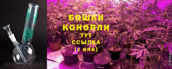 индика Михайловск