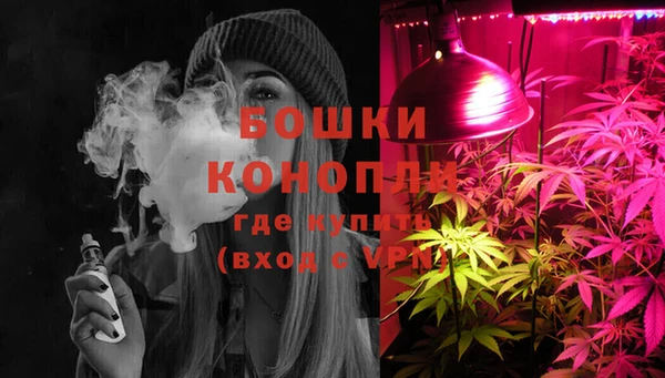 индика Михайловск