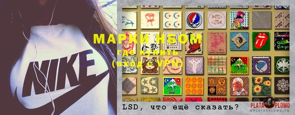 индика Михайловск