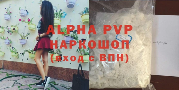 индика Михайловск